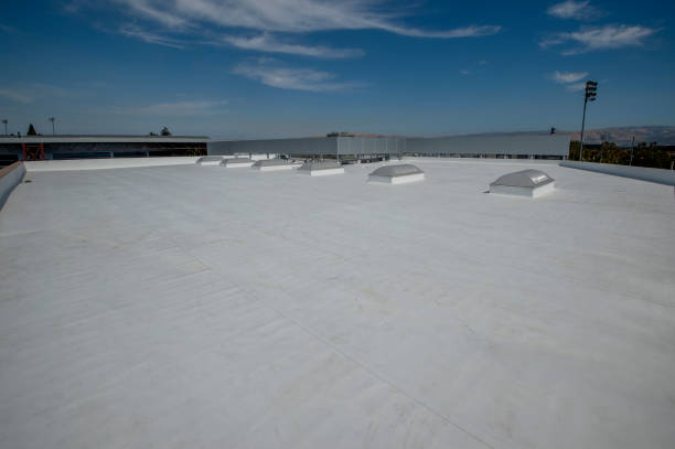 Best Metal Roofing Installation  in Waukegan, IL