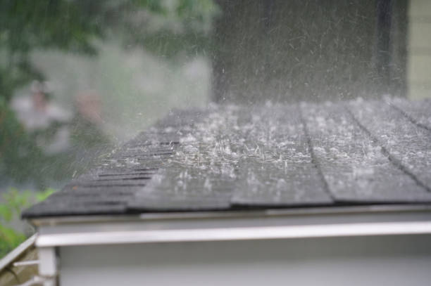 Best Roof Waterproofing  in Waukegan, IL