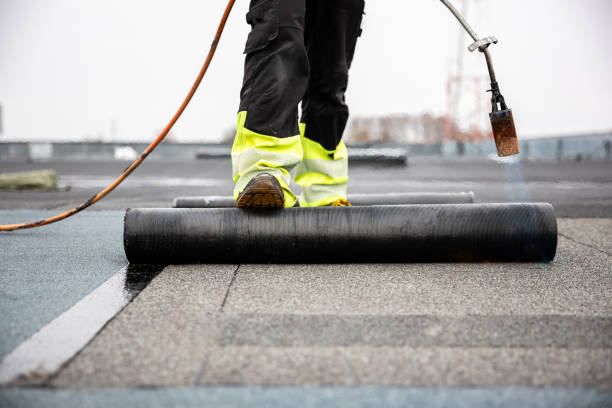 Best Roof Maintenance and Cleaning  in Waukegan, IL